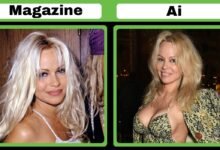 pamela anderson net worth