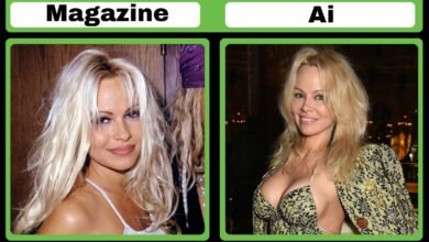 pamela anderson net worth