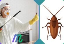 anticimex 3d sanidad ambiental / wisecon estrategia de consolidación