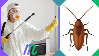 anticimex 3d sanidad ambiental / wisecon estrategia de consolidación