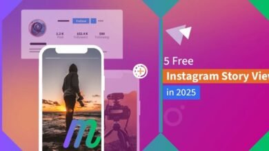 instagram story viewer