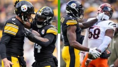 pittsburgh steelers vs bengals match player stats