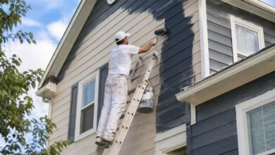 Affordable House Painters in Colorado Without Compromising Quality