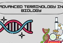 biology terminology