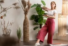 minimalist lifestyle