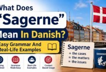sagerne