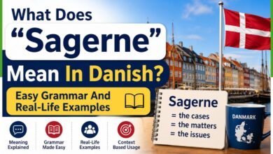 sagerne