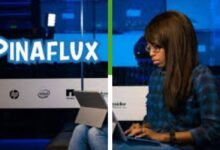 pinaflux