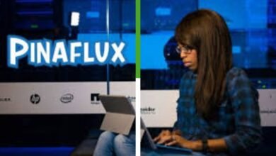 pinaflux