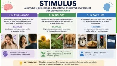 stimulus