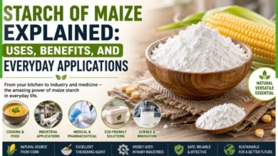 starch of maize