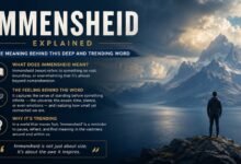 immensheid
