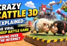 crazy cattle 3d