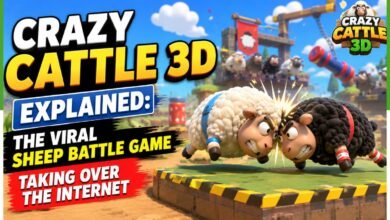 crazy cattle 3d